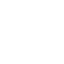 Spider icon